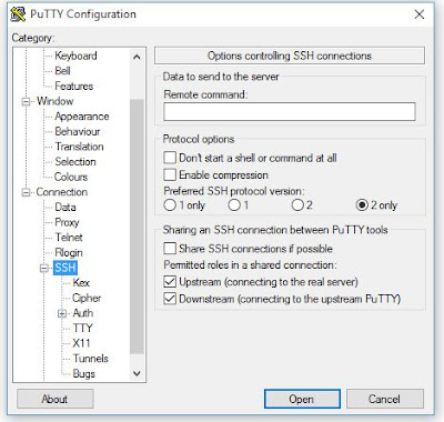 Putty