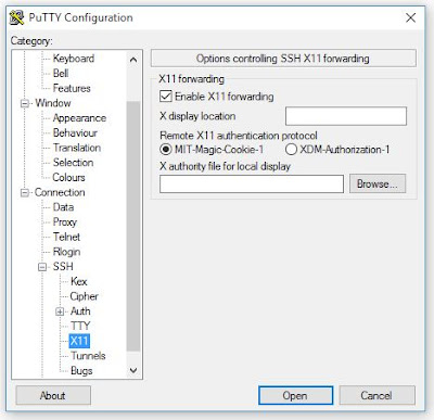 Putty
